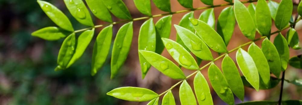 ОТРИМАЙ ЯСКРАВІ ВРАЖЕННЯ